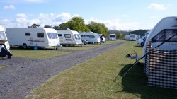 Campsite thriving in the spring sun!